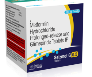 SEIZMET
  G