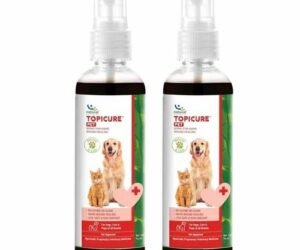 TOPICURE
  SPRAY