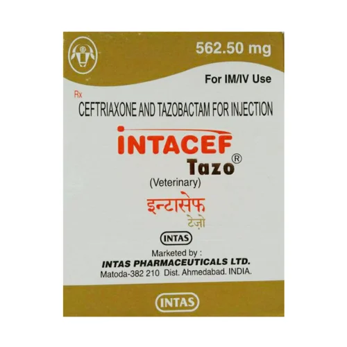 INTACEF
  TAZO VETERINARY INJECTION