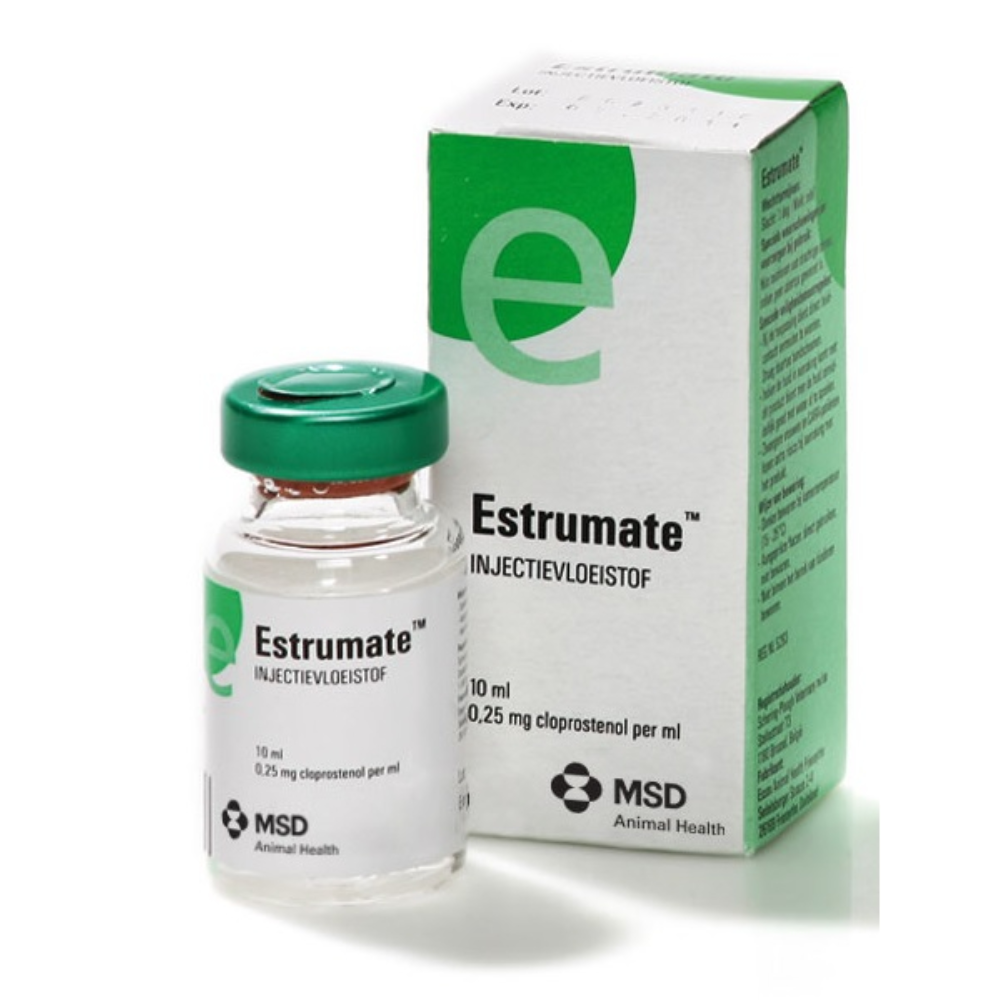 CLOROSTENOL INJECTION