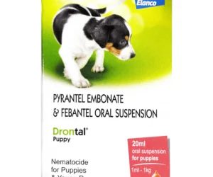 DRONTEL ORAL SUSPENSION
