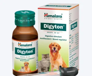 DIGYTON DROPS
