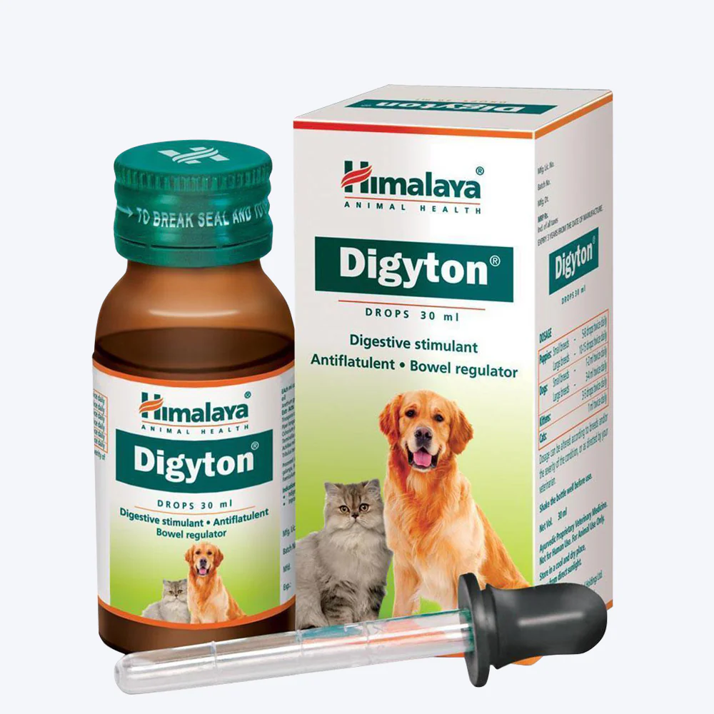 DIGYTON DROPS