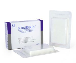 ABSORBABLE GELATIN SPONGE