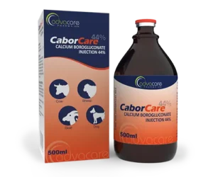 CALCIUM MAGNESIUM BOROGLUCONATE INJECTION