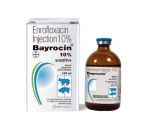 ENROFLOXSCIN INJECTION IP BAYROCIN
  INJECTION