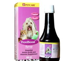 PROVIBOOST
  SYRUP