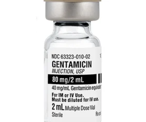 GENTAMICIN
  INJECTION