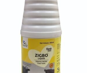 ZIGBO
  LIQUID HERBAL TONIC