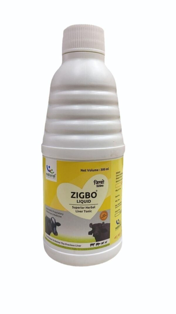 zigbo-liquid-herbal-tonic Zigbo Liquid Herbal Tonic 600x1067