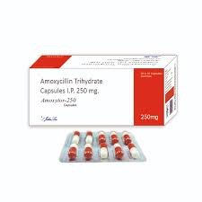 AMOXICILLIN TRIHYDRATE CAPSULE 250mg AMOXICILLIN TRIHYDRATE CAPSULE 250mg