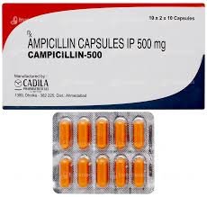 CAMPICILLIN 500mg